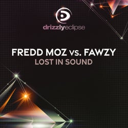 Lost In Sound