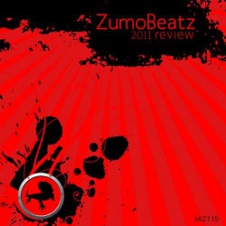 ZumoBeatz: 2011 Review