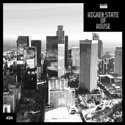 Higher State of House, Vol. 24