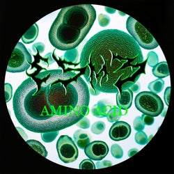 Amino acid (original mix)