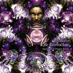 The Rezwalker (Space Cat VS Prastix Remix)