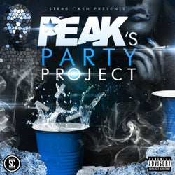 Peak's Party Project