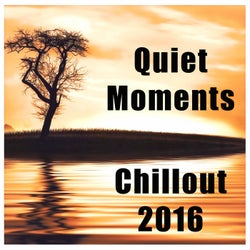 Quiet Moments: Chillout 2016