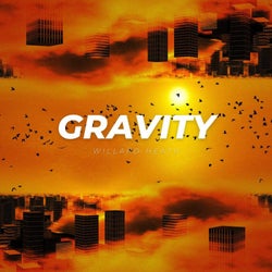 Gravity