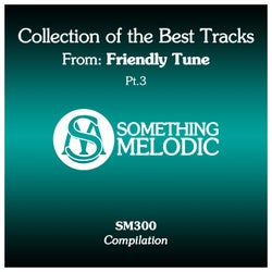Collection of the Best Tracks From: Friendly Tune, Pt. 3