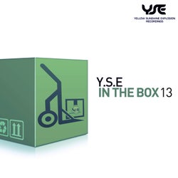 Y.S.E. in the Box, Vol. 13
