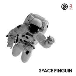 Space Pinguin (EP)