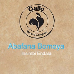 Insimbi Endala
