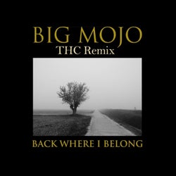 Back Where I Belong (THC Remix)