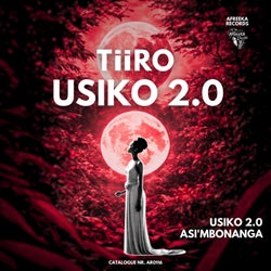 Usiko 2.0