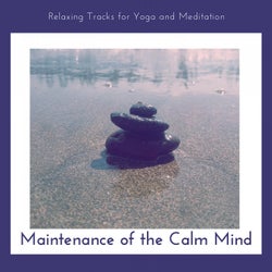 Maintenance Of The Calm Mind - Relaxing Tracks For Yoga And Meditation