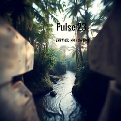 Pulse 23