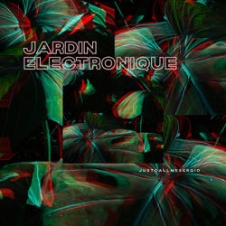 Jardin Electronique