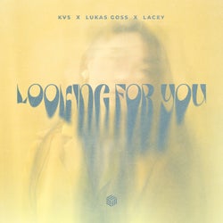 Looking for You (Extended Mix)