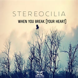 When You Break (Your Heart)