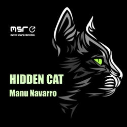 Hidden Cat