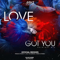 Love Got You (Official Remixes)