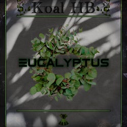 Eucalyptus