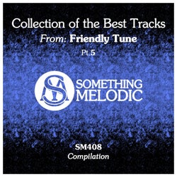 Collection of the Best Tracks From: Friendly Tune, Pt. 5