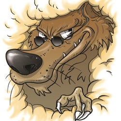 flirting of a wolf