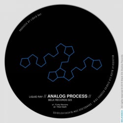 Analog Process