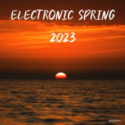 Electronic Spring 2023