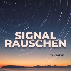 Signalrauschen