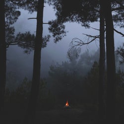 Embers