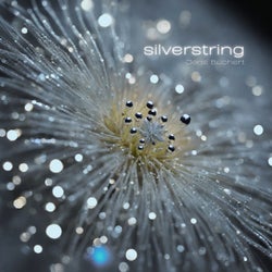 Silverstring