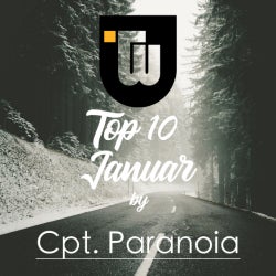 TechnoWirtschaft top 10 January/Cpt. Paranoia