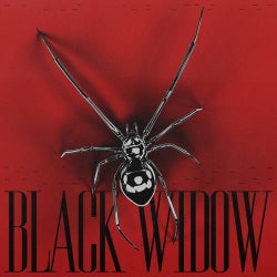 BLACK WIDOW (Extended Mix)