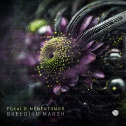 Breeding Marsh