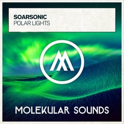 Polar Lights