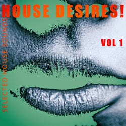 House Desires!, Vol. 1