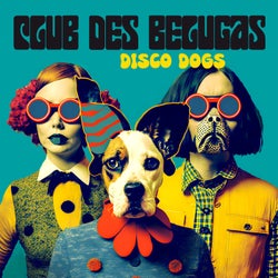 Disco Dogs