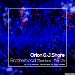 Brotherhood (Remixes, Pt. 2)