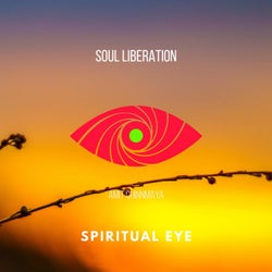 Soul Liberation