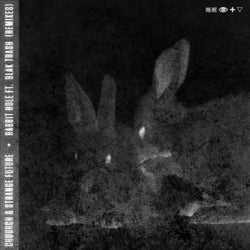Rabbit Hole [Remixes]
