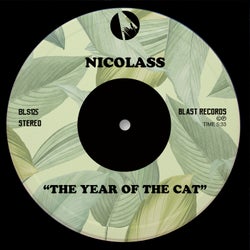 The Year Of The Cat