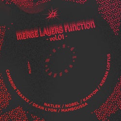 Merge Layers Function Vol.1