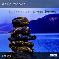 Balancing Act : A Yoga Journey
