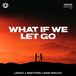 What If We Let Go (feat. Sam Welch)