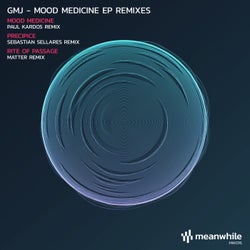 Mood Medicine (Remixes)