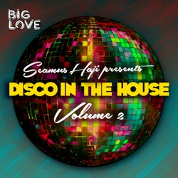 Seamus Haji Presents Disco In The House, Vol. 2