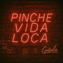 PINCHE VIDA LOCA