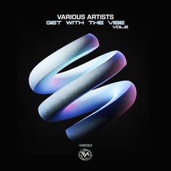 Get with the Vibe, Vol. 2