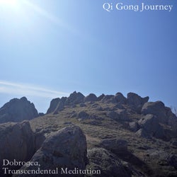 Dobrogea, Transcendental Meditation