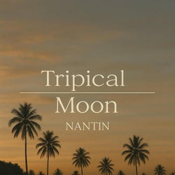 Nantin