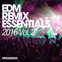 EDM Remix Essentials, Vol. 2