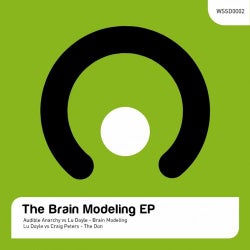 Brain Modeling
